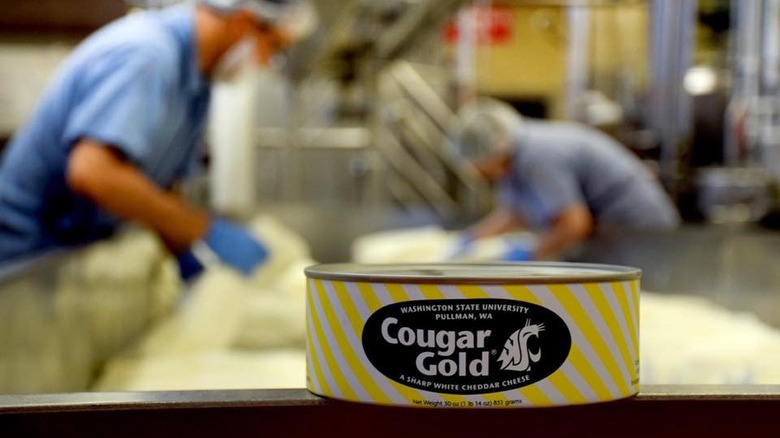 Can of Cougar Gold cheese 