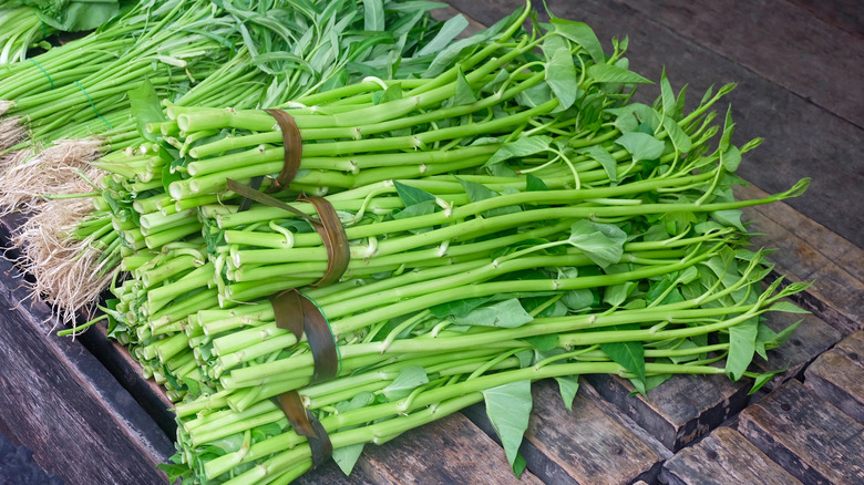 water spinach