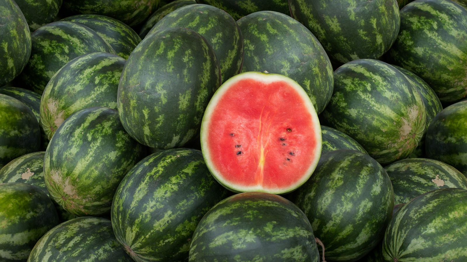 Why Watermelon s Latin Name May Be Incorrect