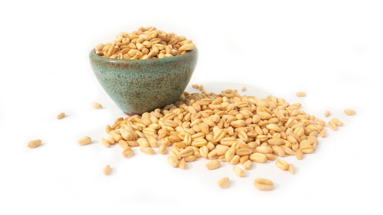 Wheat grains 