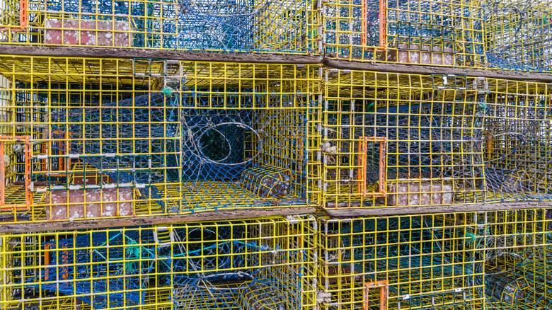 stack of Maine Lobster traps