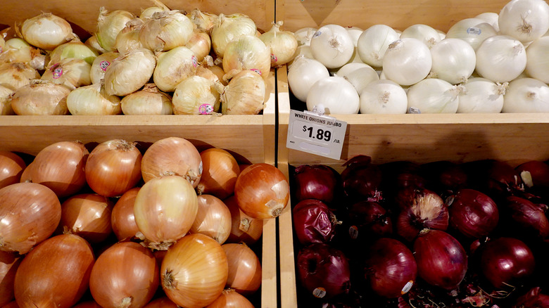 different onion varieties