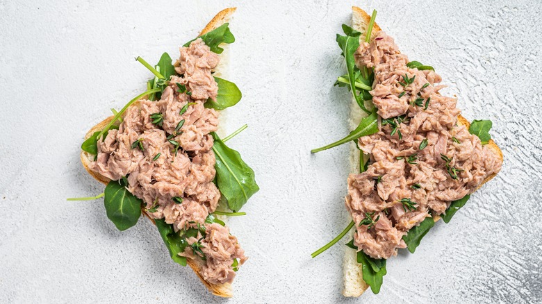 Open faced tuna fish sandwich