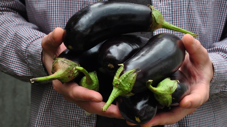 Holding eggplant