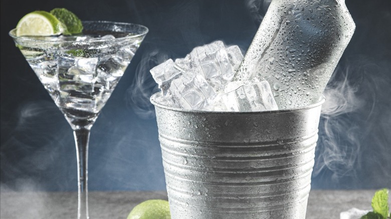 martini on ice, vodka bottle in bucket