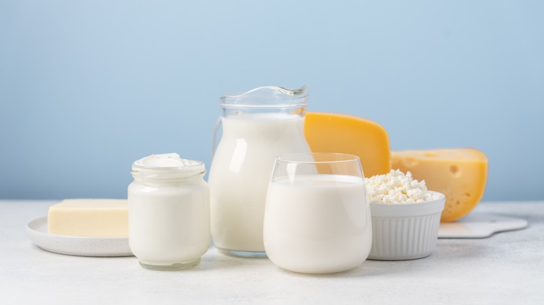 types of dairy