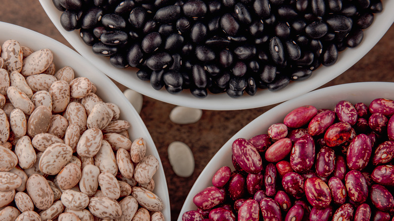 Bean varieties