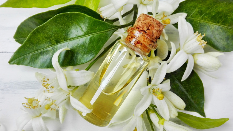 Orange blossom essential oil