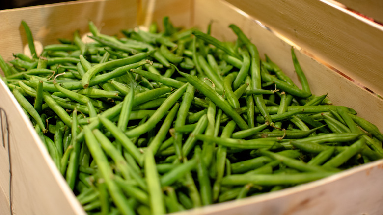 Fresh green beans