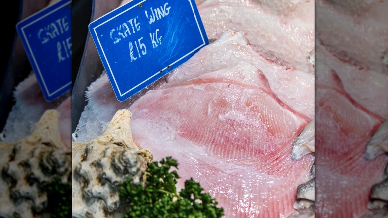 Close-up of skinned, raw skate wing