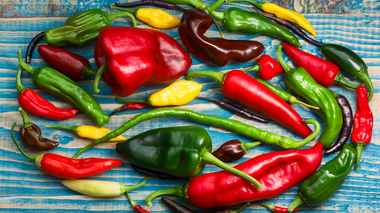 variety of chiles 