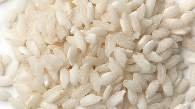 Carnaroli rice grains zoomed in