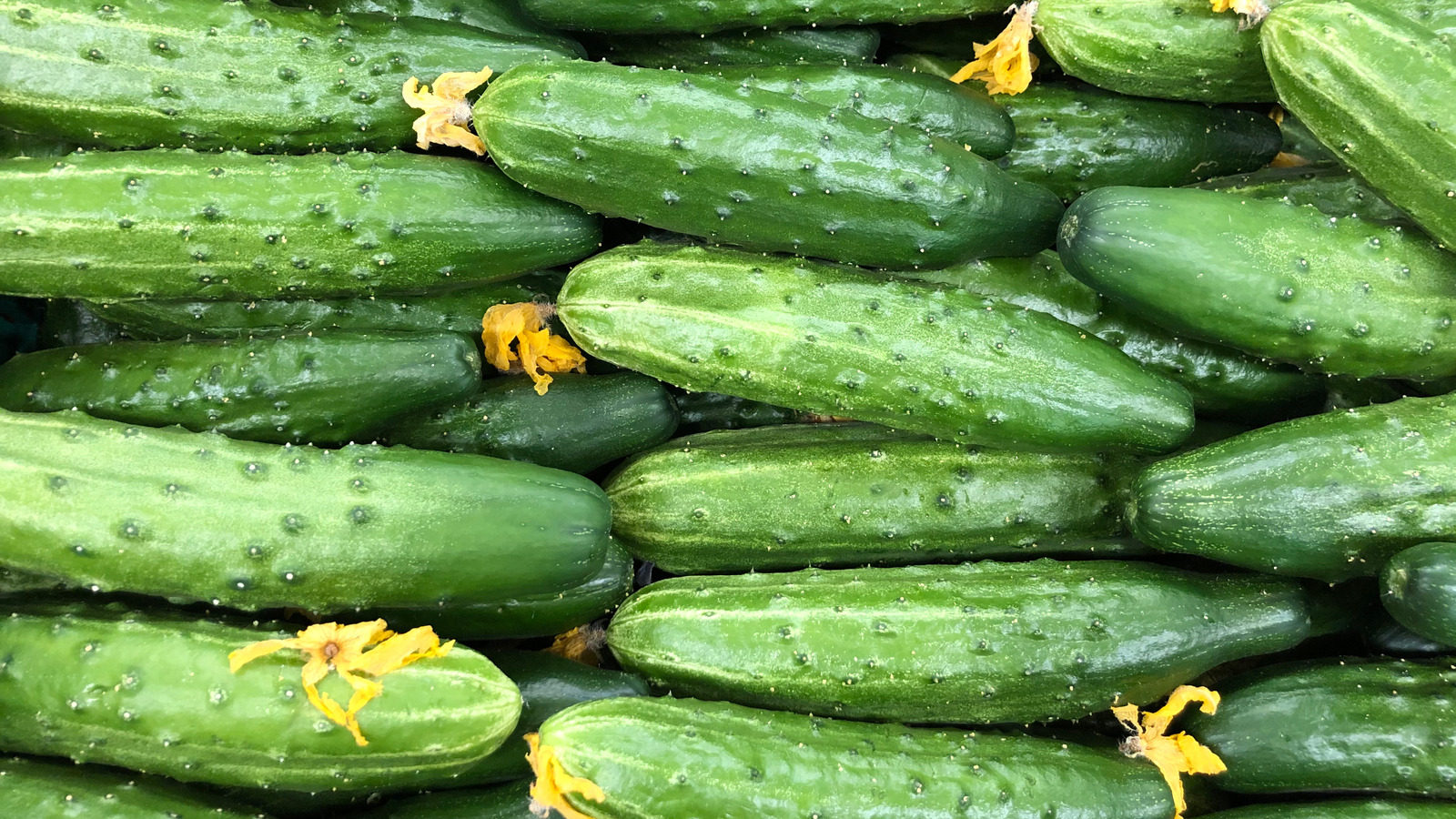 What Is an English Cucumber? - Insanely Good