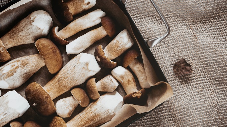 mushrooms on baking tray