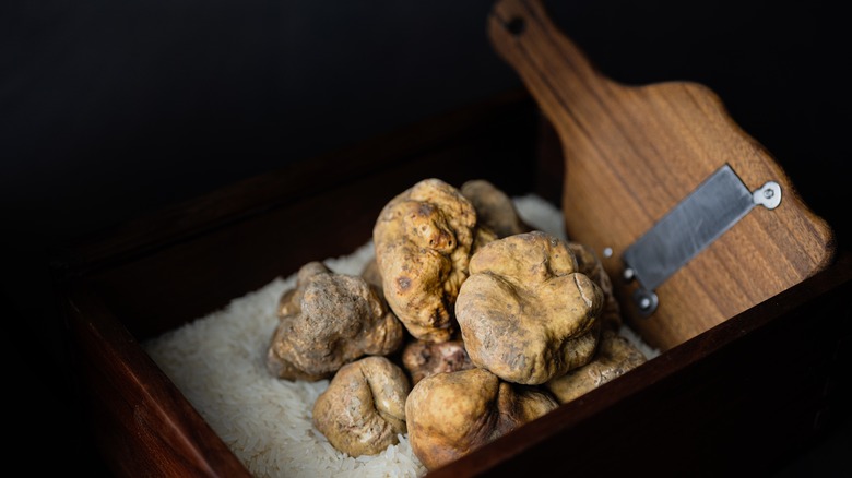 white truffles with wood shaver