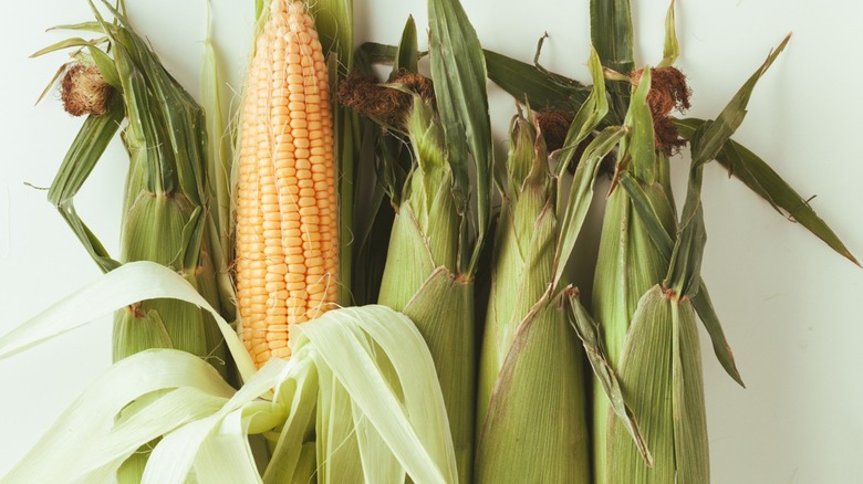 Why You Should Never Put Corn Husks Down A Garbage Disposal