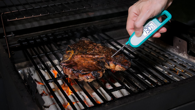 Meat thermometer in grilled meat