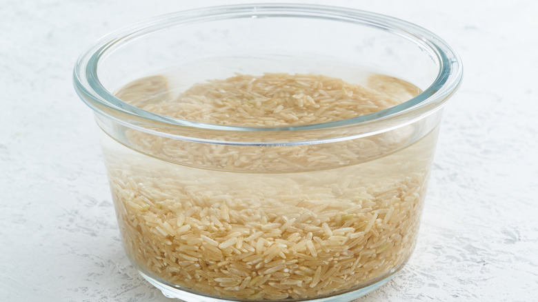 bowl of brown rice soaked in water