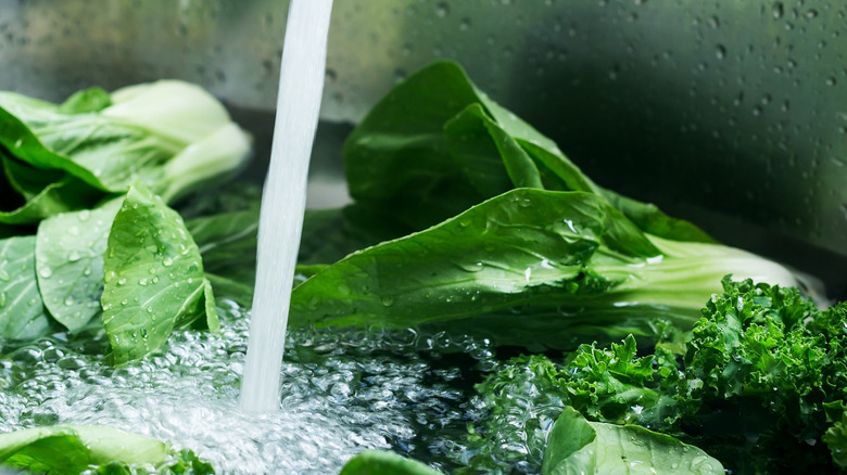 Lettuce in running water