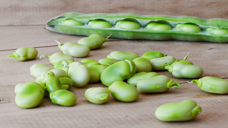 fresh-shelled lima beans