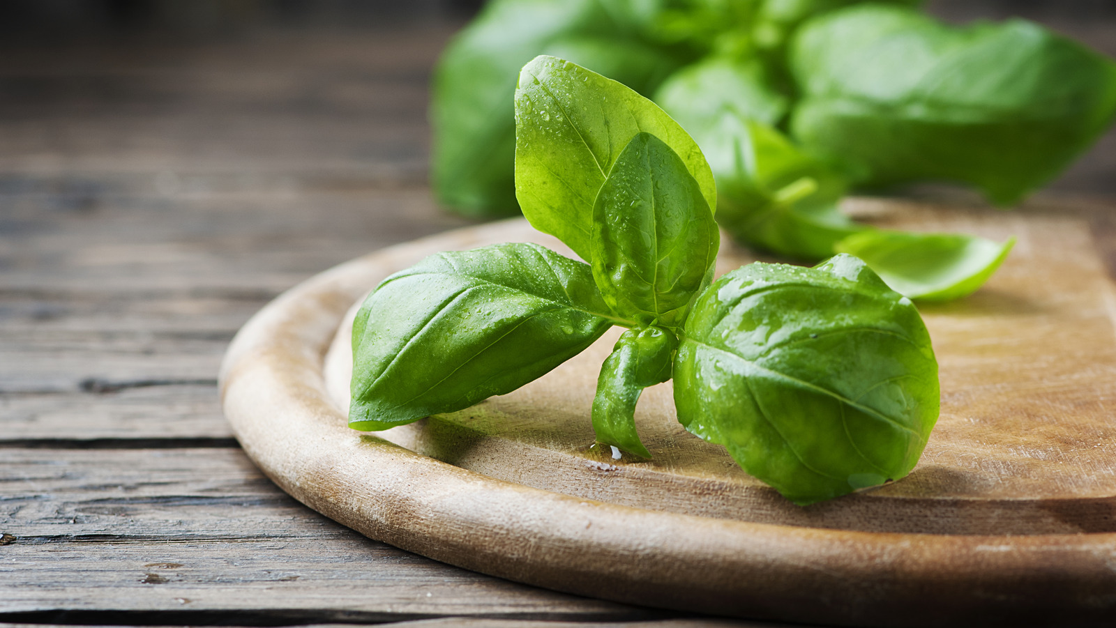 Why You Should Stop Throwing Away Basil Stems