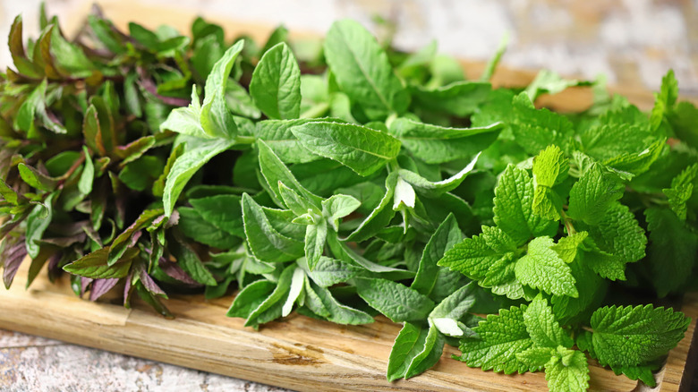 three mint types on cutting board