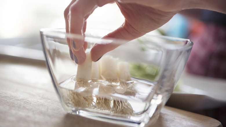 scallions in water