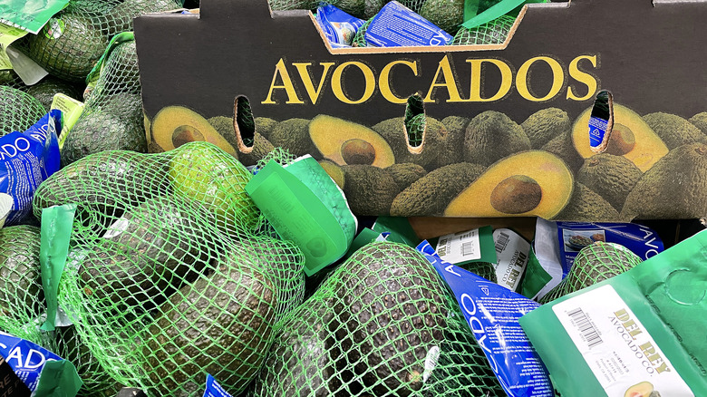 Packaged avocados at Costco