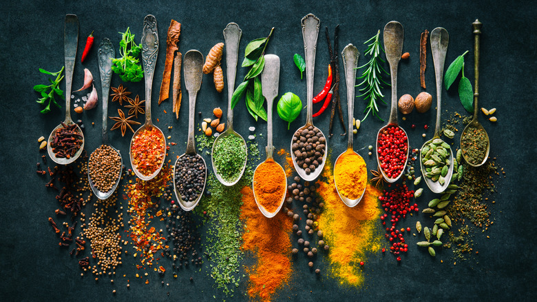 Colorful spices heaped on spoons 