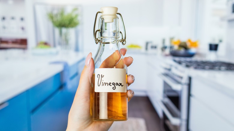 Person holding bottle of vinegar