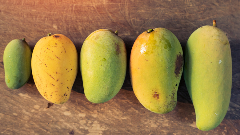 Green and yellow mangoes in line