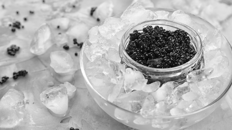 caviar in glass on ice