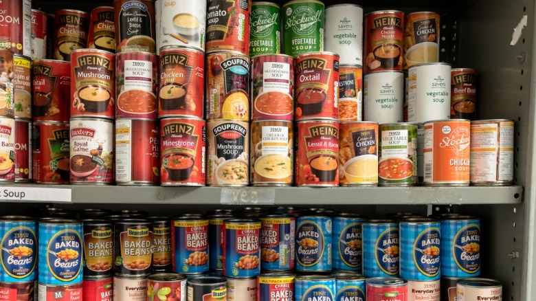 An array of canned goods on a shelf