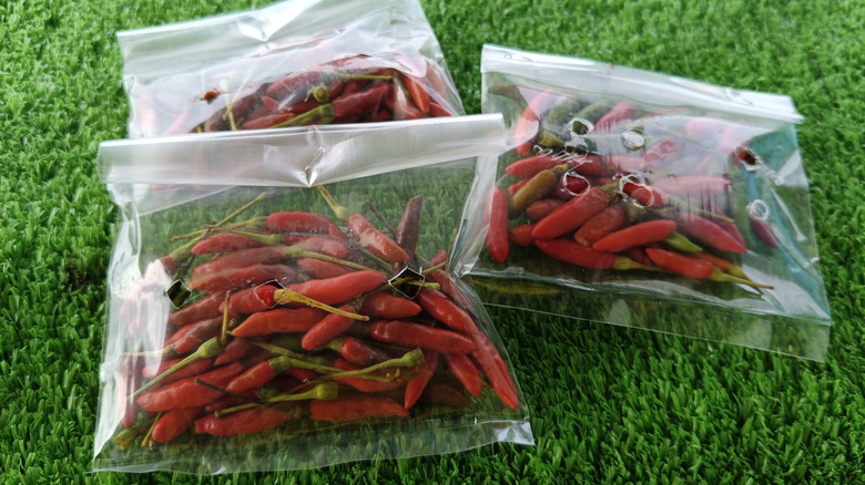Fresh red chiles in plastic bags with holes for circulation