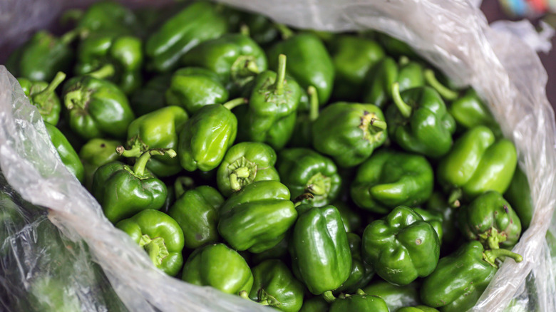 Green bell peppers in bulk