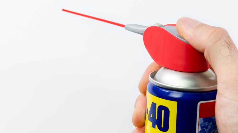 Hand holdling can of wd-40