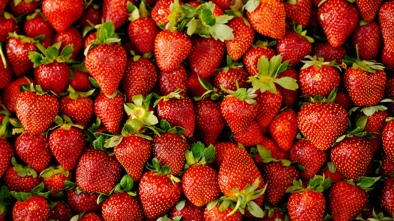 red strawberries with green tops