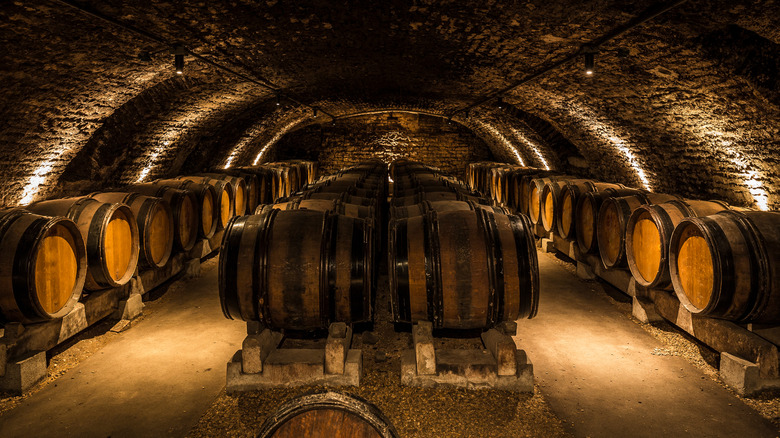 Barrels of wine in a wine cellar