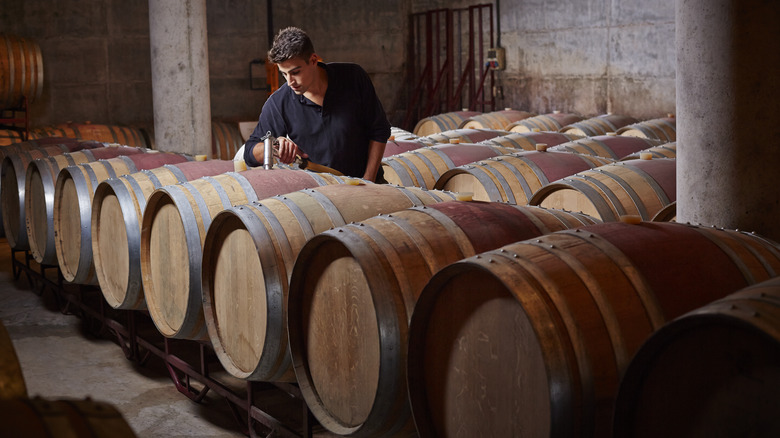 Man working on oak barrels in wine storage room