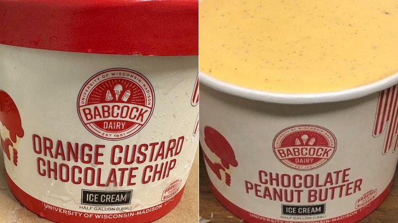 Babcock Dairy Orange Custard Chocolate Chip and Chocolate Peanut Butter ice cream