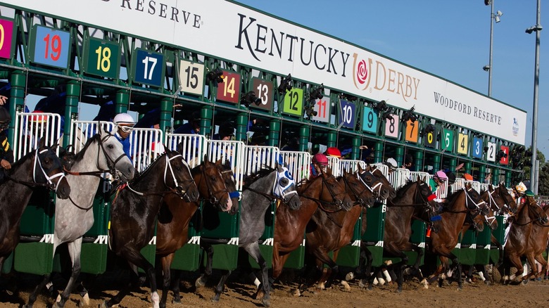 A bunch of riders in Kentucky Derby