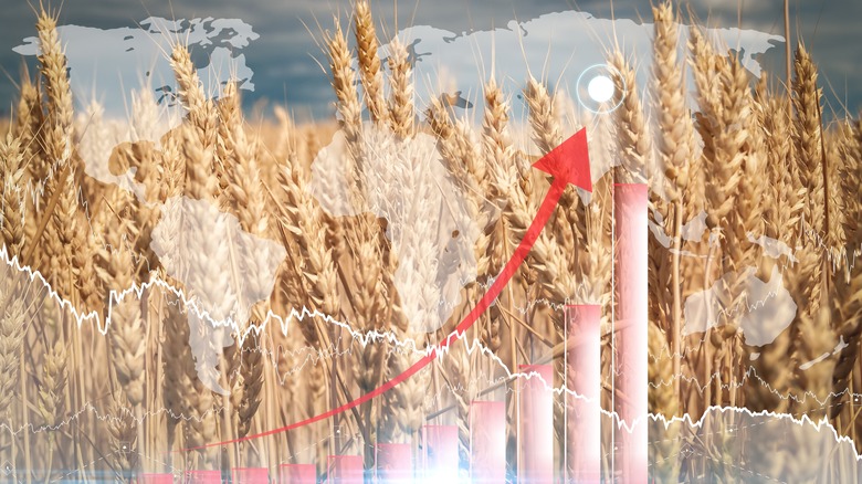 Rising global wheat futures