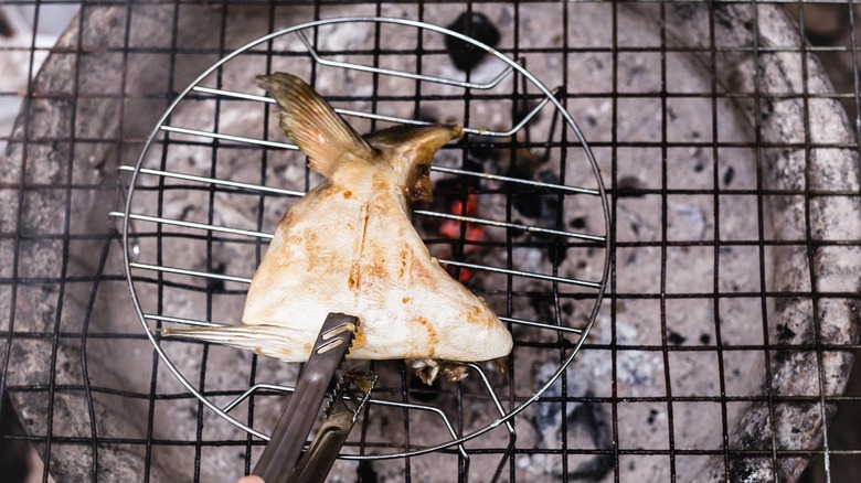 Tongs holding tuna collar on grill