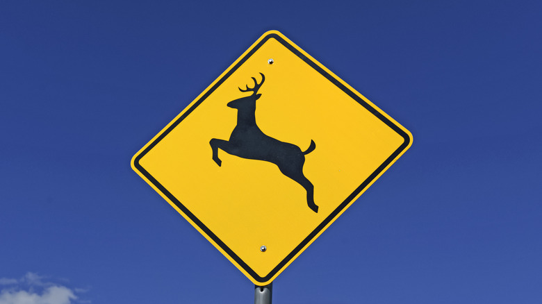 deer crossing road sign