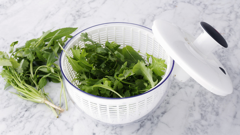 Herbs and lettuce in salad spinner on marble counter