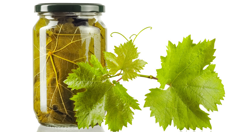 Grape leaves in jar with fresh grape leaves