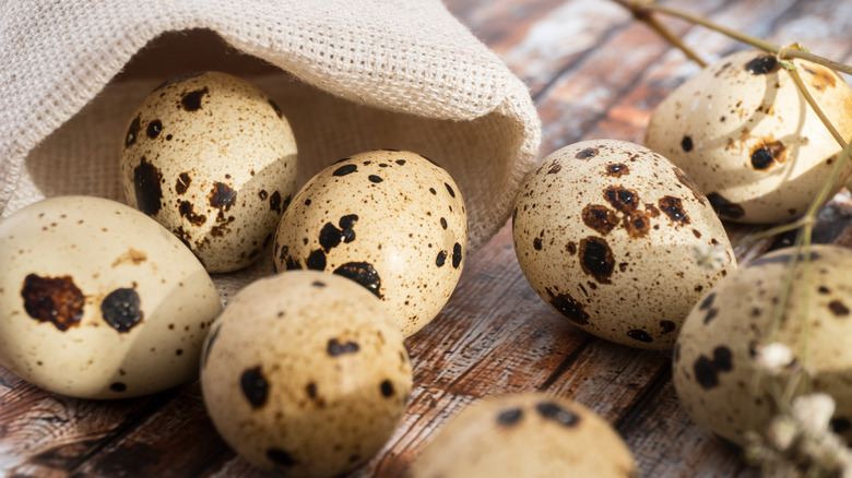 speckled quail eggs on table