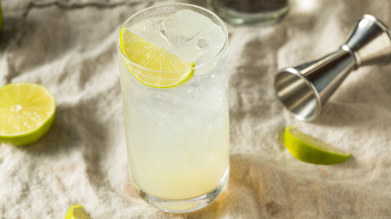 Gin rickey cocktail with lime