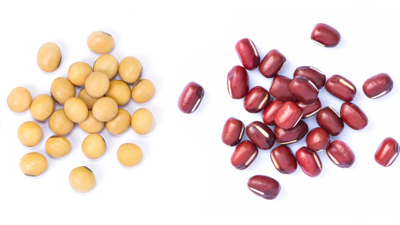 Different beans on white background