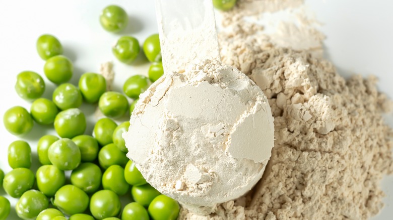 Pea protein scoop